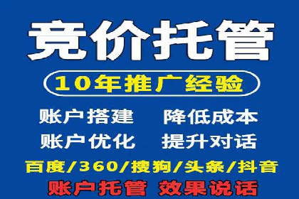 百度竞价广告运营的技巧与误区：成功案例解析